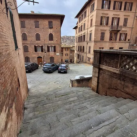 Dimora Con Finestra Sui Tetti Di Apartamento *