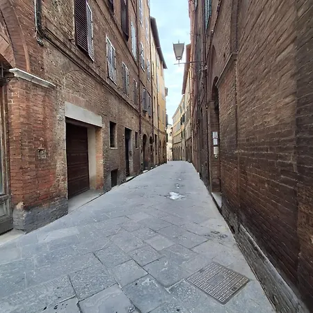 Dimora Con Finestra Sui Tetti Di Apartamento *